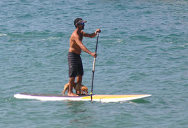 standu up, paddleboard, rincon, puerto rico